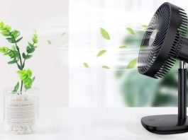 Fan